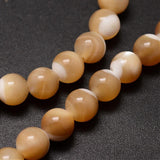 Caramel Mother of Pearl Beads | Fashion Jewellery Outlet | Fashion Jewellery Outlet
