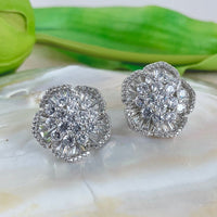 Cubic Zirconia Bridal Earrings, 18K Plated | Fashion Jewellery Outlet | Fashion Jewellery Outlet