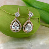 Bridal Cubic Zirconia Earrings, 18K Plated | Fashion Jewellery Outlet | Fashion Jewellery Outlet