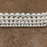 12mm White Shell Pearls | Fashion Jewellery Outlet | Fashion Jewellery Outlet