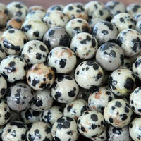 10mm Dalmatian Beads Dalmatian jasper Beads | Fashion Jewellery Outlet | Fashion Jewellery Outlet