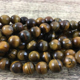 8mm Tiger Eye Bead | Fashion Jewellery Outlet | Fashion Jewellery Outlet