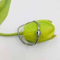 Snake Chain, European Charm Bracelet | Fashion Jewellery Outlet | Fashion Jewellery Outlet