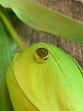 Evil Eye Bead, 18k gold plated | Fashion Jewellery Outlet | Fashion Jewellery Outlet
