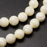 Mother of Pearl, 4 Sizes | Fashion Jewellery Outlet | Fashion Jewellery Outlet